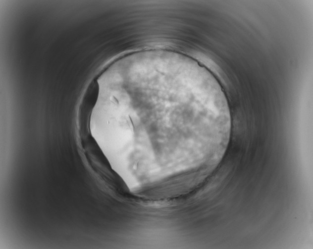 X0000088061047200706081645