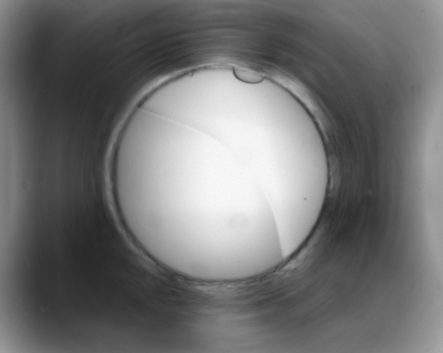 X0000088061048200706081645