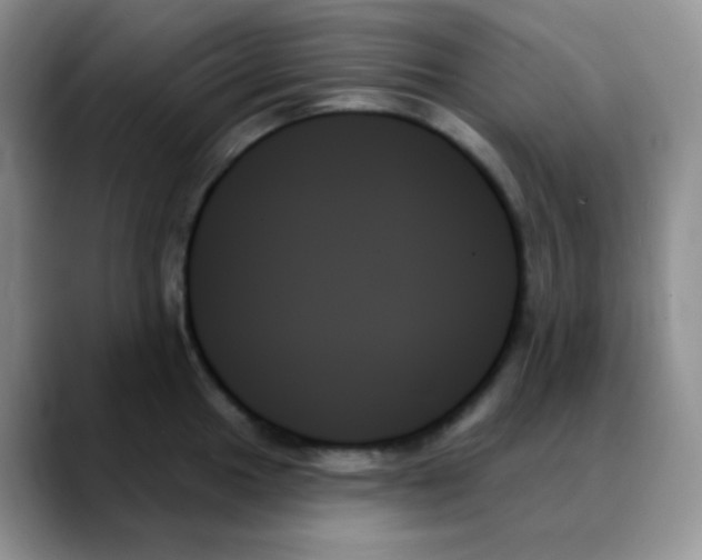 X0000088061049200706081645