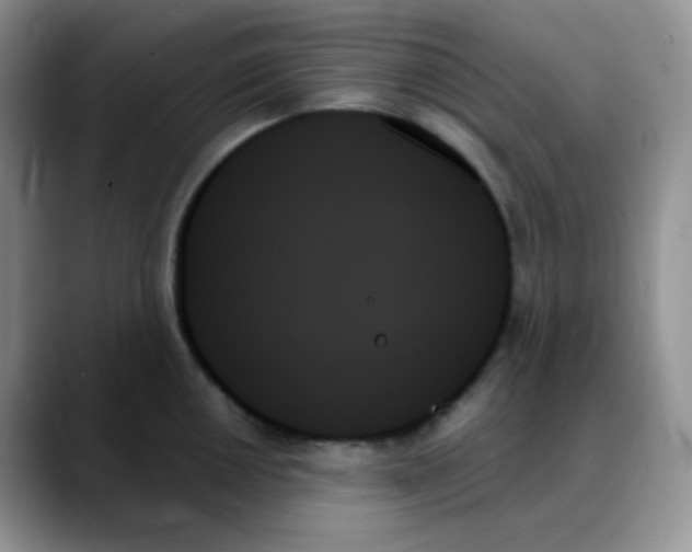 X0000088061050200706081645