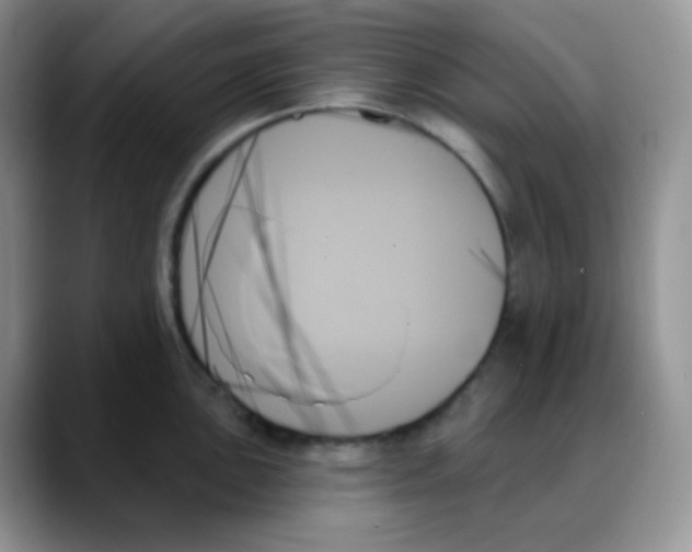 X0000088061051200706081645