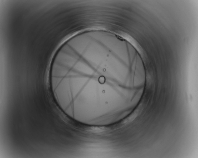 X0000088061052200706081645