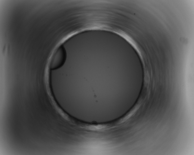 X0000088061053200706081645