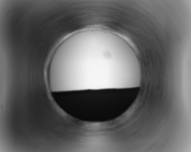 X0000088061054200706081645