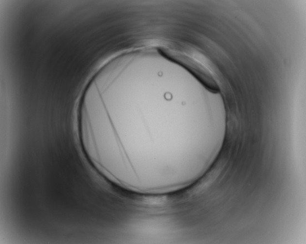 X0000088061055200706081645