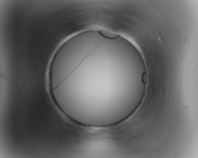 X0000088061056200706081645