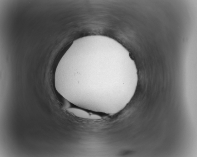 X0000088061057200706081645
