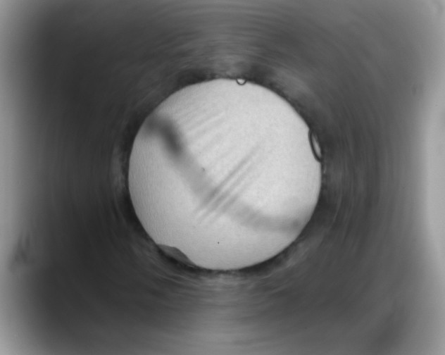 X0000088061058200706081645