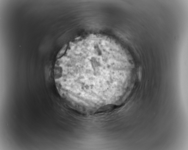 X0000088061059200706081645