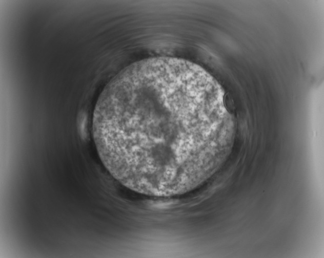 X0000088061060200706081645