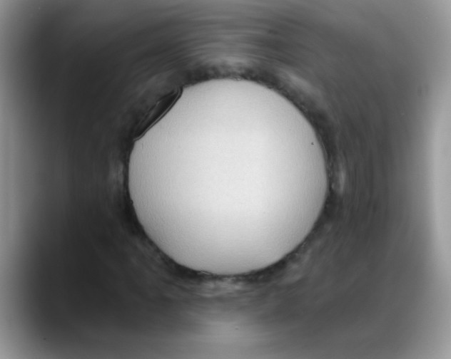 X0000088061061200706081645