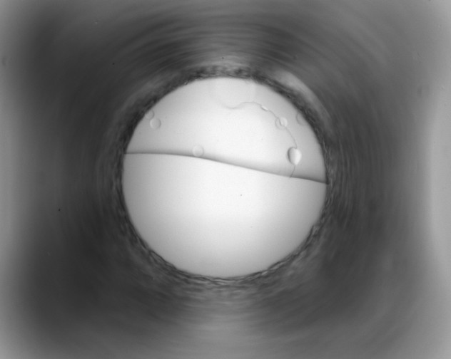 X0000088061064200706081645
