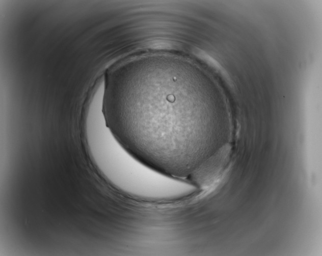 X0000088061065200706081645