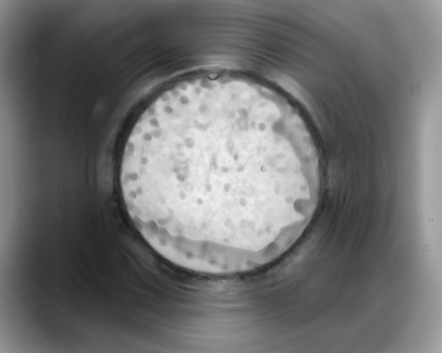 X0000088061067200706081645