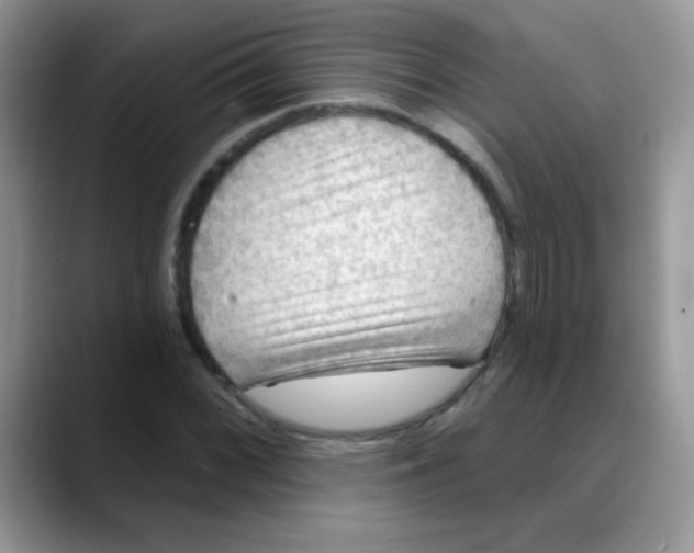 X0000088061068200706081645