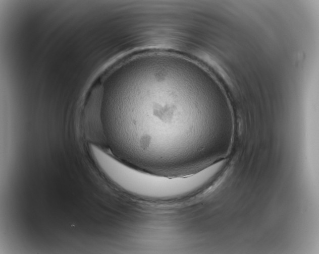 X0000088061069200706081645