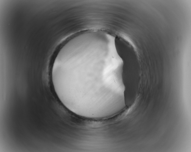 X0000088061071200706081645