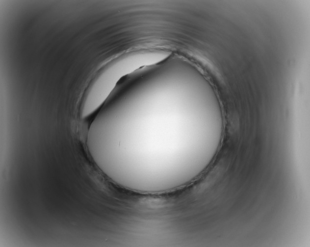 X0000088061073200706081645