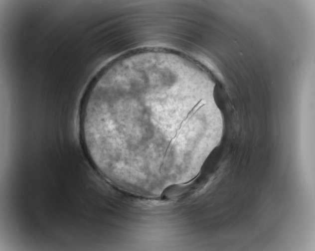 X0000088061076200706081645