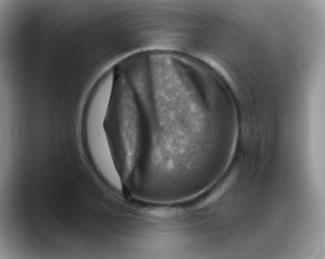 X0000088061077200706081645