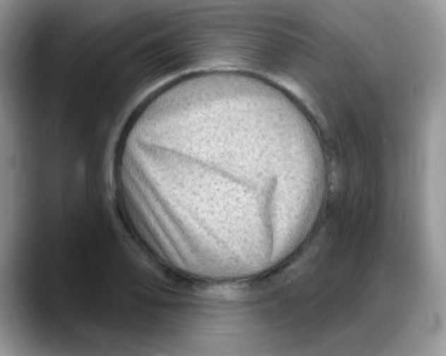 X0000088061078200706081645