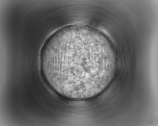 X0000088061079200706081645
