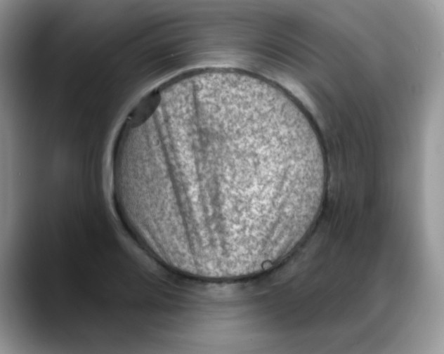 X0000088061080200706081645