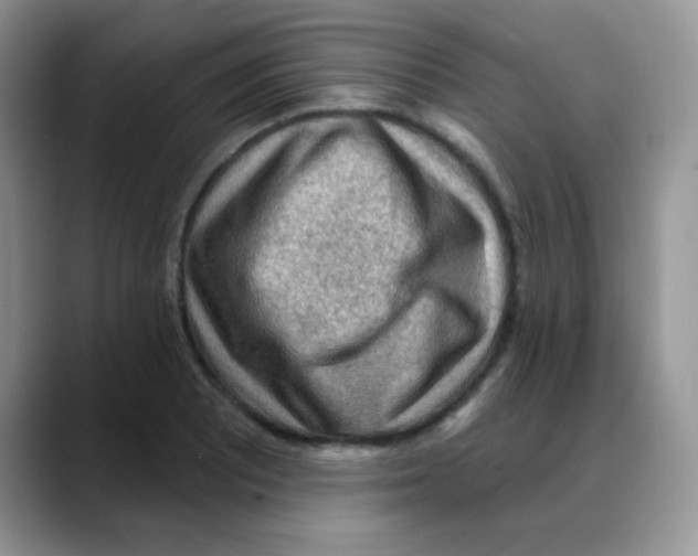 X0000088061081200706081645