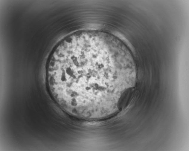 X0000088061083200706081645