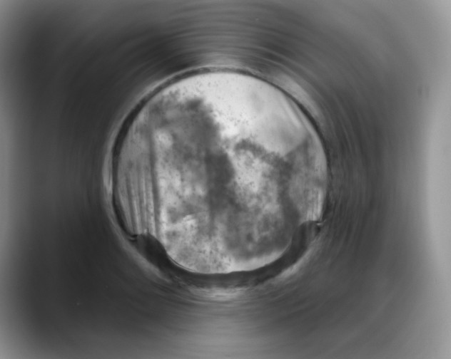 X0000088061084200706081645