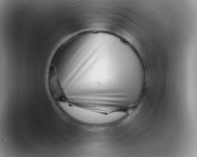 X0000088061085200706081644