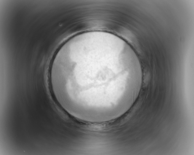 X0000088061086200706081644