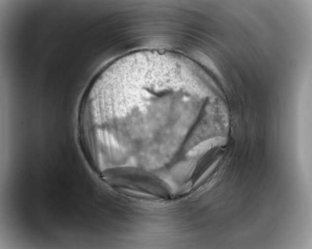 X0000088061087200706081644