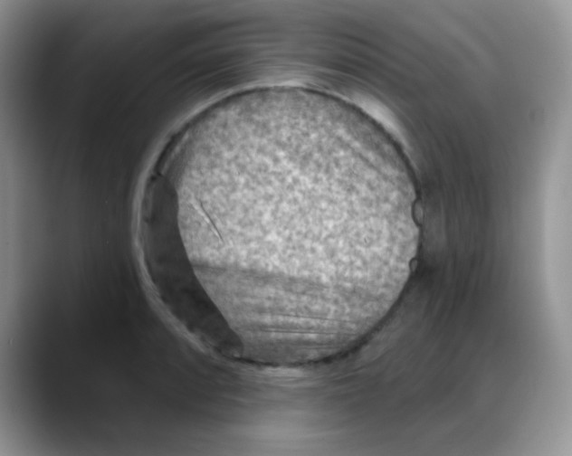 X0000088061088200706081644
