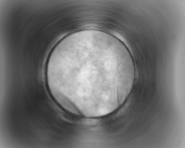 X0000088061090200706081644