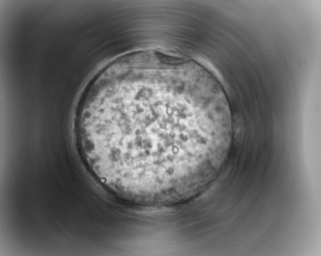 X0000088061091200706081644
