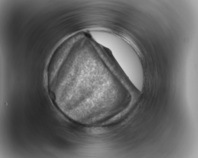 X0000088061092200706081644