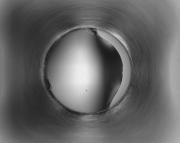 X0000088061093200706081644
