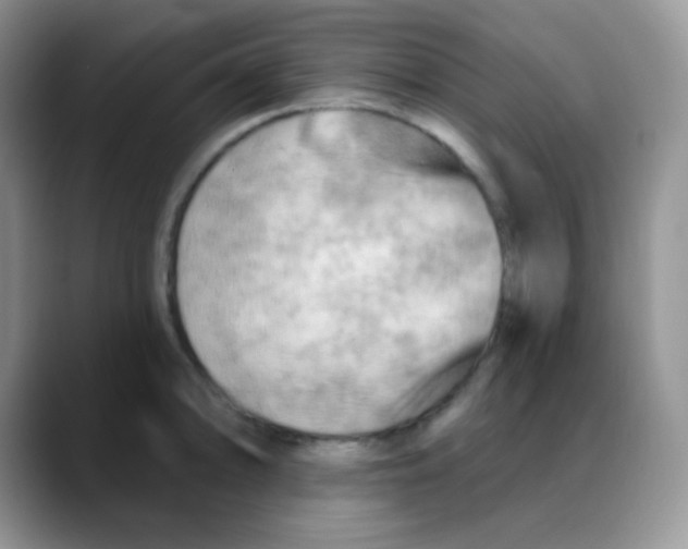 X0000088061094200706081644
