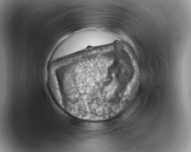 X0000088061095200706081644