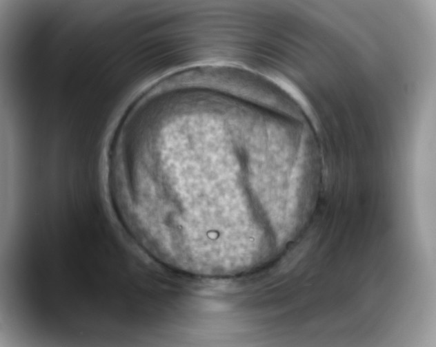 X0000088061096200706081644