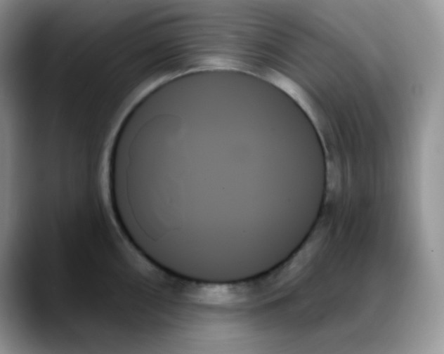 X0000088061098200706081644