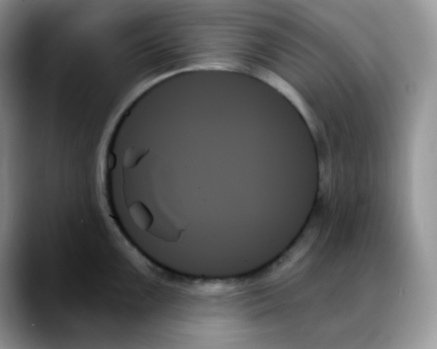 X0000088061099200706081644