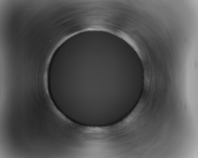 X0000088061100200706081644