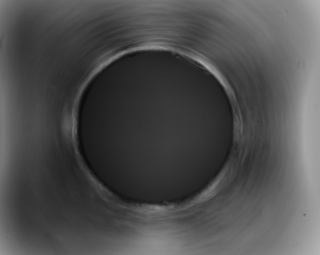 X0000088061101200706081644
