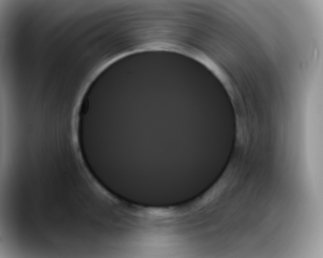 X0000088061102200706081644