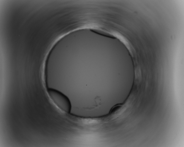 X0000088061103200706081644