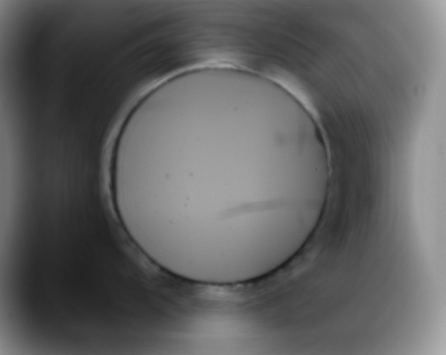 X0000088061104200706081644