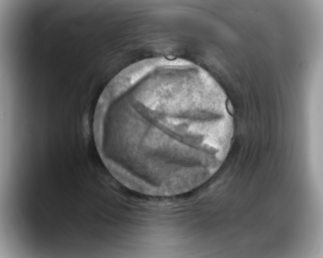 X0000088061106200706081644