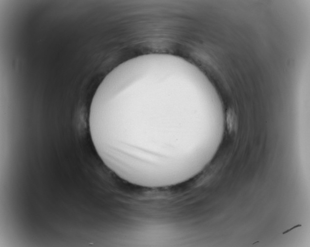 X0000088061107200706081644